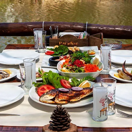 Paradise 3* Агва