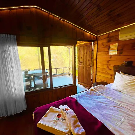 Paradise 3*