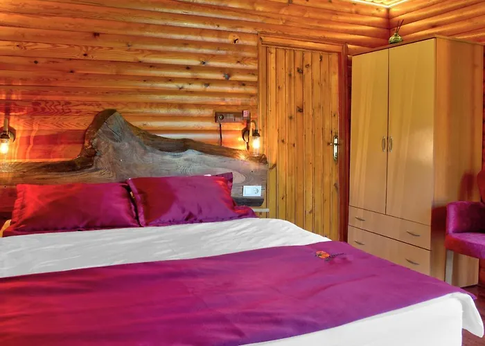 Paradise 3* アグヴァ